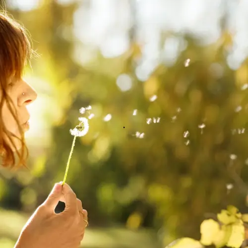 conscientia EMDR massagetherapie Menopauzeconsult